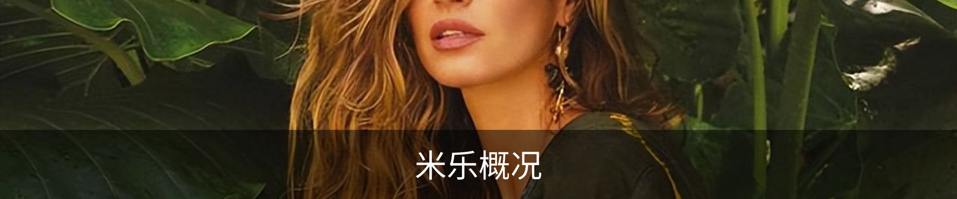 米乐概况
